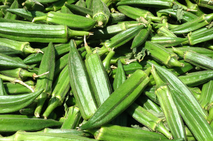 Okra Clemsons Spineless Seeds