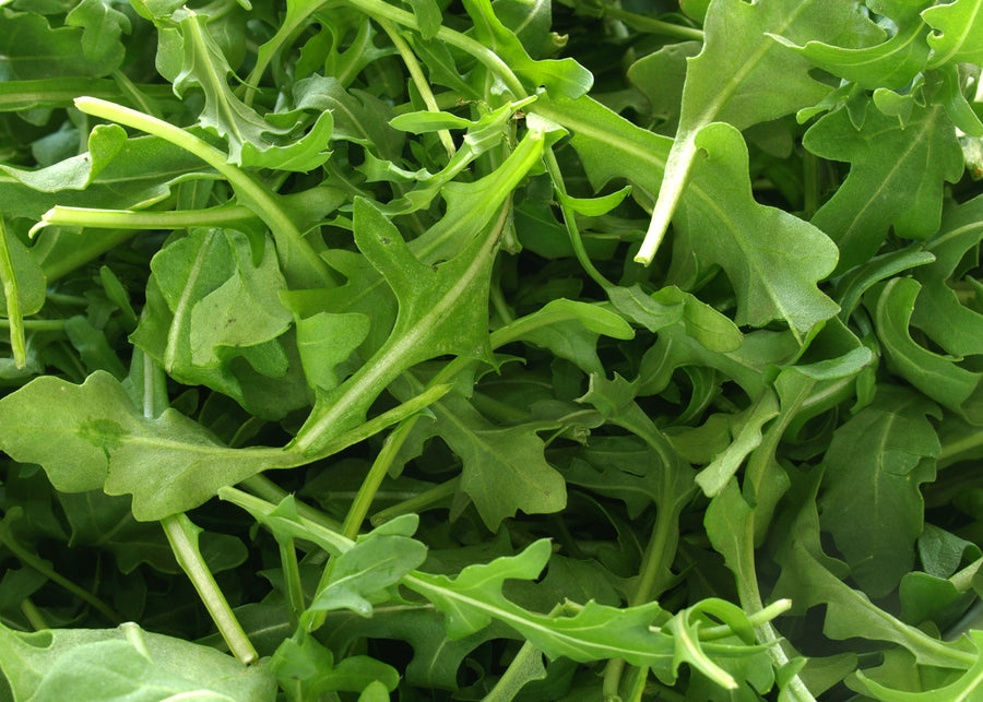 How to Grow Rocket