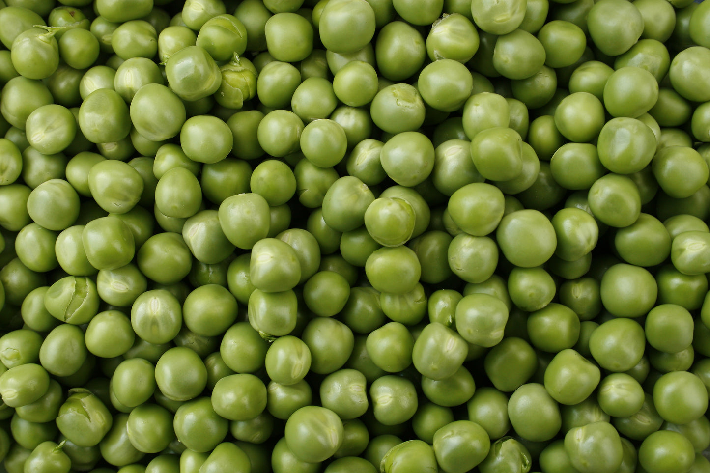 Pea Hurst Green Shaft Seeds