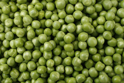 Pea Hurst Green Shaft Seeds