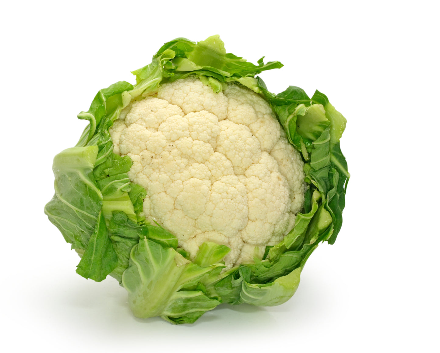 Cauliflower All Year Round Seeds – Successional Variety