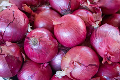 Autumn Onion Sets Red Winter