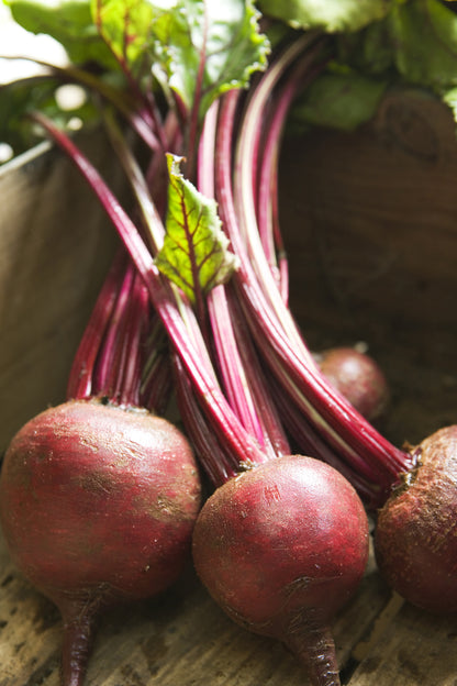 Beetroot Pablo F1 Seeds