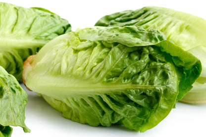 Lettuce Little Gem Seeds