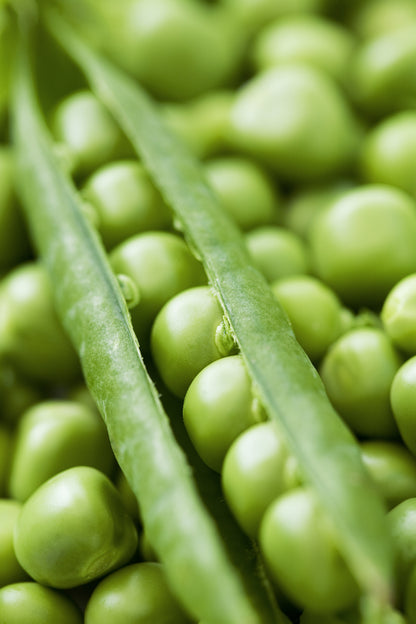 Pea Alderman Seeds