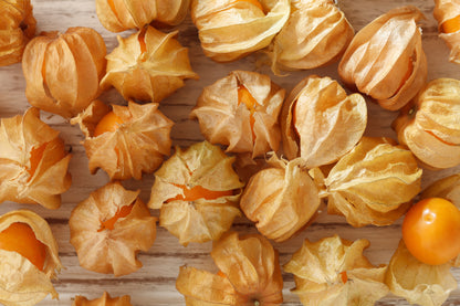 Cape Gooseberry Seeds - Physalis Edulis