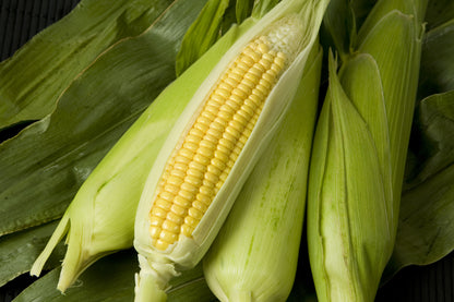 Sweetcorn Moonshine F1 Seeds