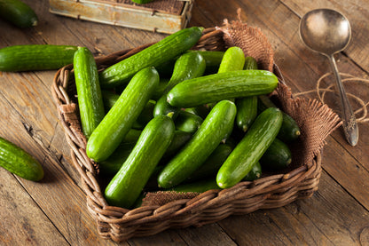 Cucumber Mini Munch F1 Hybrid Seeds