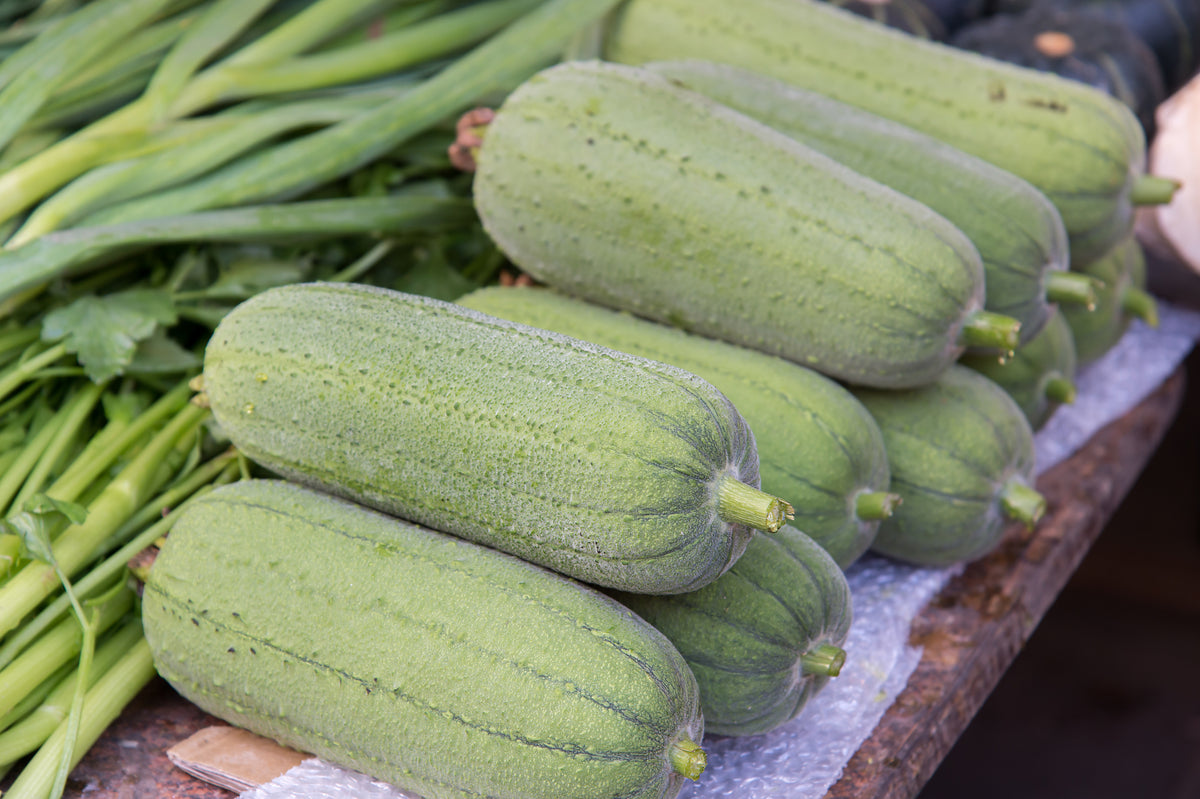 Loofah Seeds