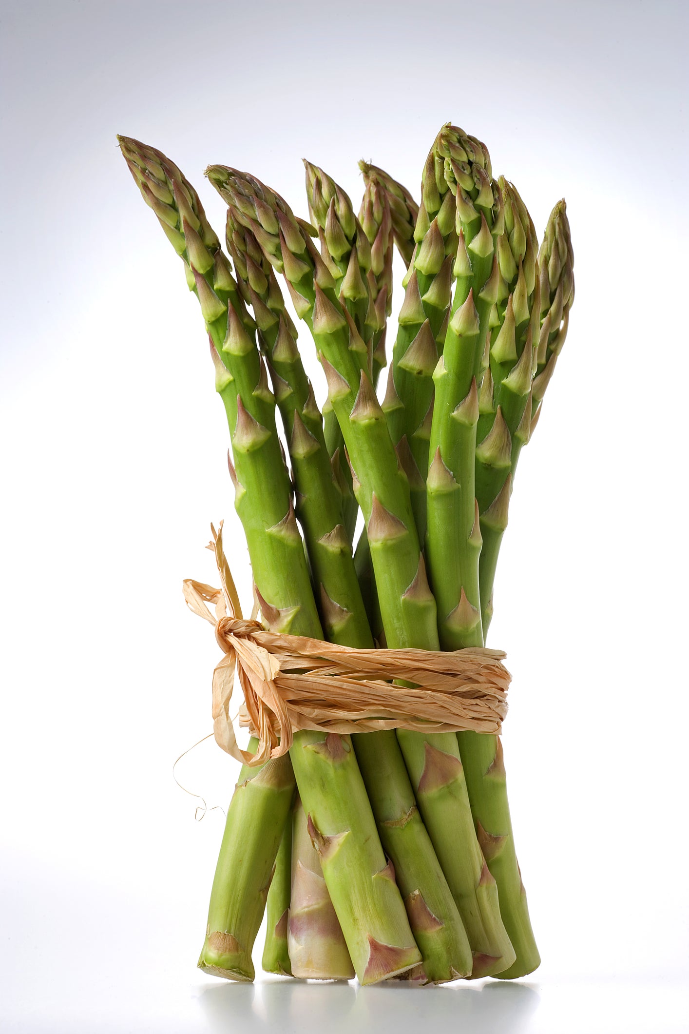 Asparagus – Ariane F1 Seeds | High-Yielding Slender Green Spears