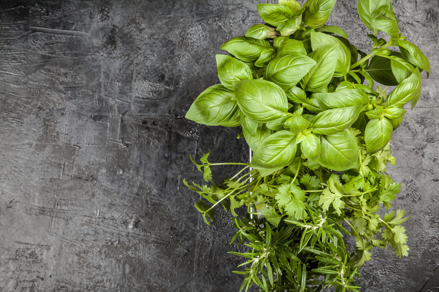 Organic Basil Classic Italian Seeds