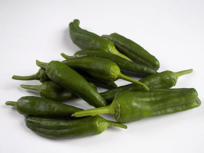 Chilli Pepper Padron Seeds