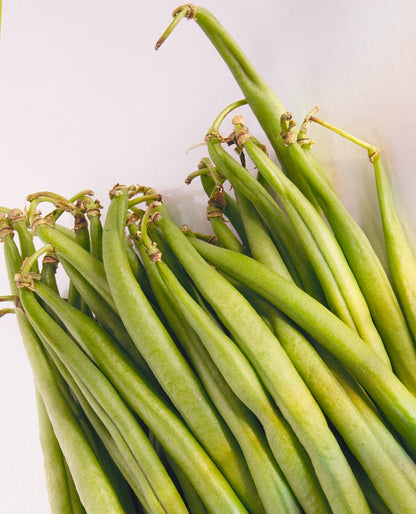 Dwarf French Bean Safari Seeds