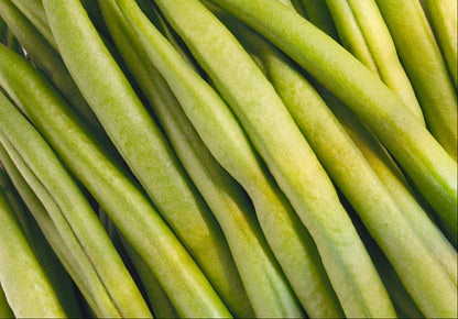 Dwarf French Bean Tendergreen Seeds