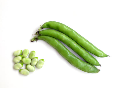 Broad Bean The Sutton Dwarf Seeds