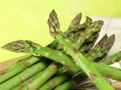 Asparagus Connover’s Colossal Seeds | Early Harvest Heirloom Variety