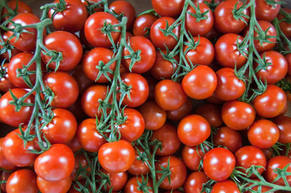 Tomato Sweet Aperitif Seeds