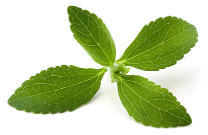 Stevia revaudiana - Sweet Herb Sugar Plant Seeds