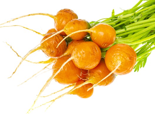 Carrot Paris Market Atlas Seeds