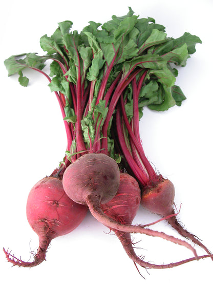 Beetroot Pablo F1 Seeds