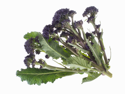 Broccoli Early Purple Sprouting Seeds