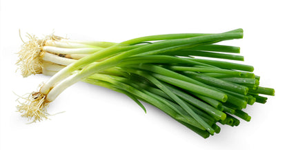 Spring Onion White Lisbon Winter Hardy Seeds