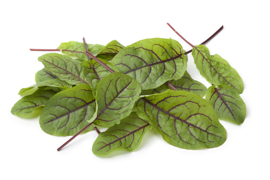 Suffolk Herbs Salad Leaves Sorrel Red Veined Seeds