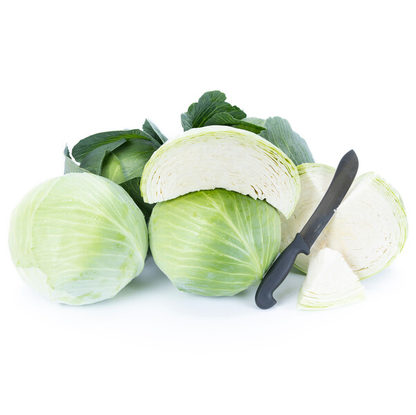 Cabbage Dulcima RZ F1 (30-725) Untreated Seeds