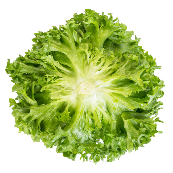 Lettuce Dunand RZ (44-22) Untreated Seeds