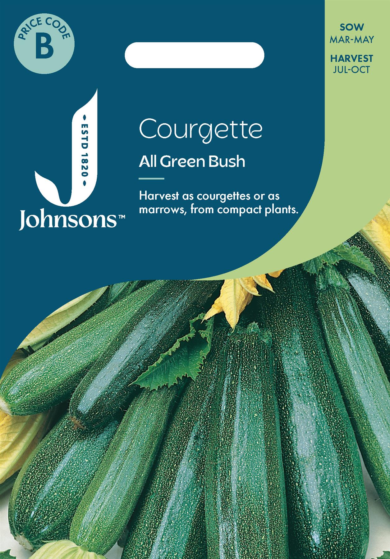 Johnsons - Courgette All Green Bush - 10 Seeds