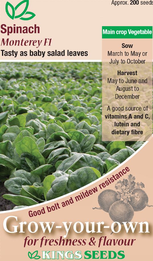 Kings Seeds - Vegetable - Spinach Monterey F1 Seeds