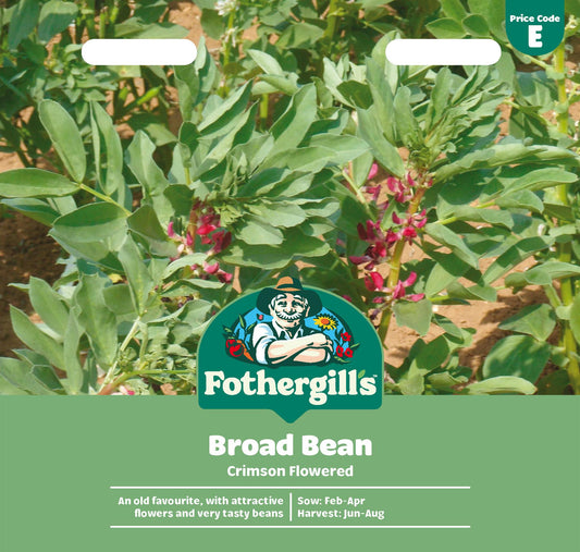 Fothergills Broad Bean Crimson Flowered Seeds