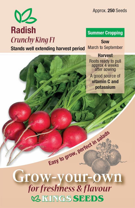 Kings Seeds  Radish Crunchy King F1 Seeds