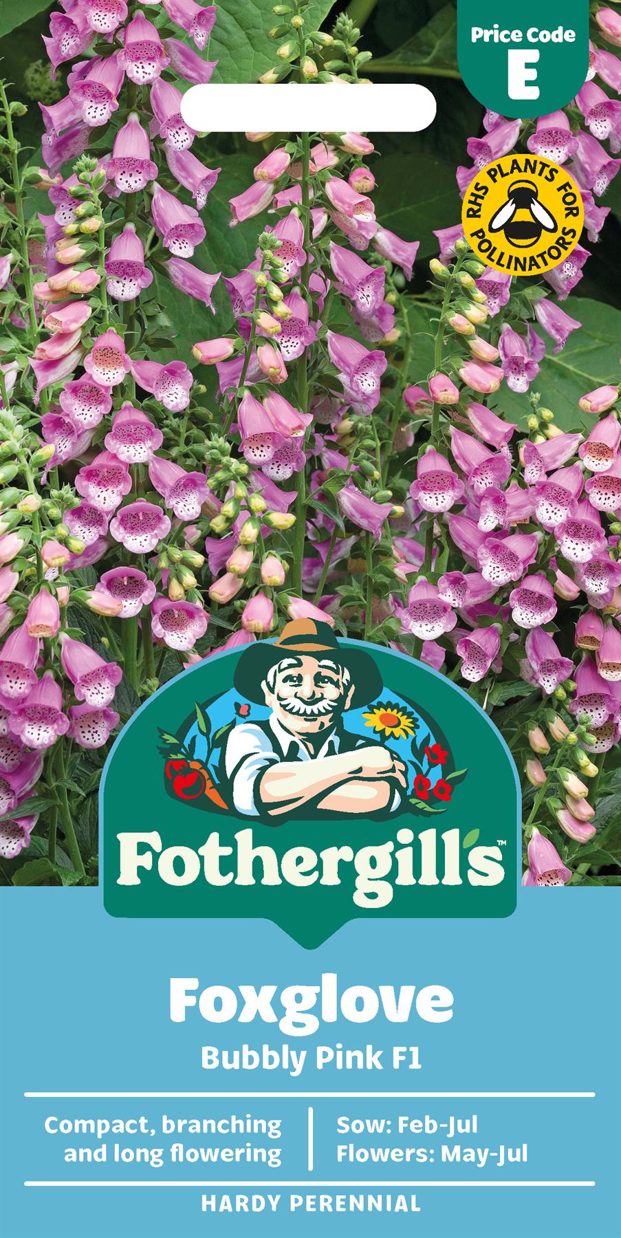 Fothergills Foxglove Bubbly Pink F1 Seeds