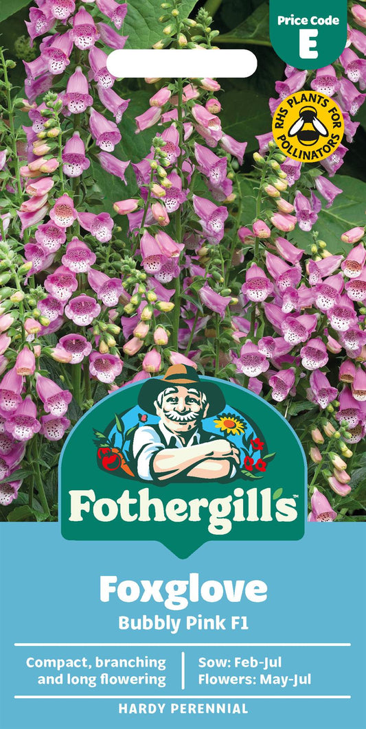 Fothergills Foxglove Bubbly Pink F1 Seeds