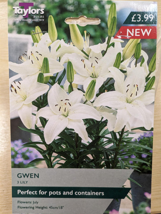 Taylors  - Lily  Gwen- 3 Tubers - White Flowers Idea for Containters