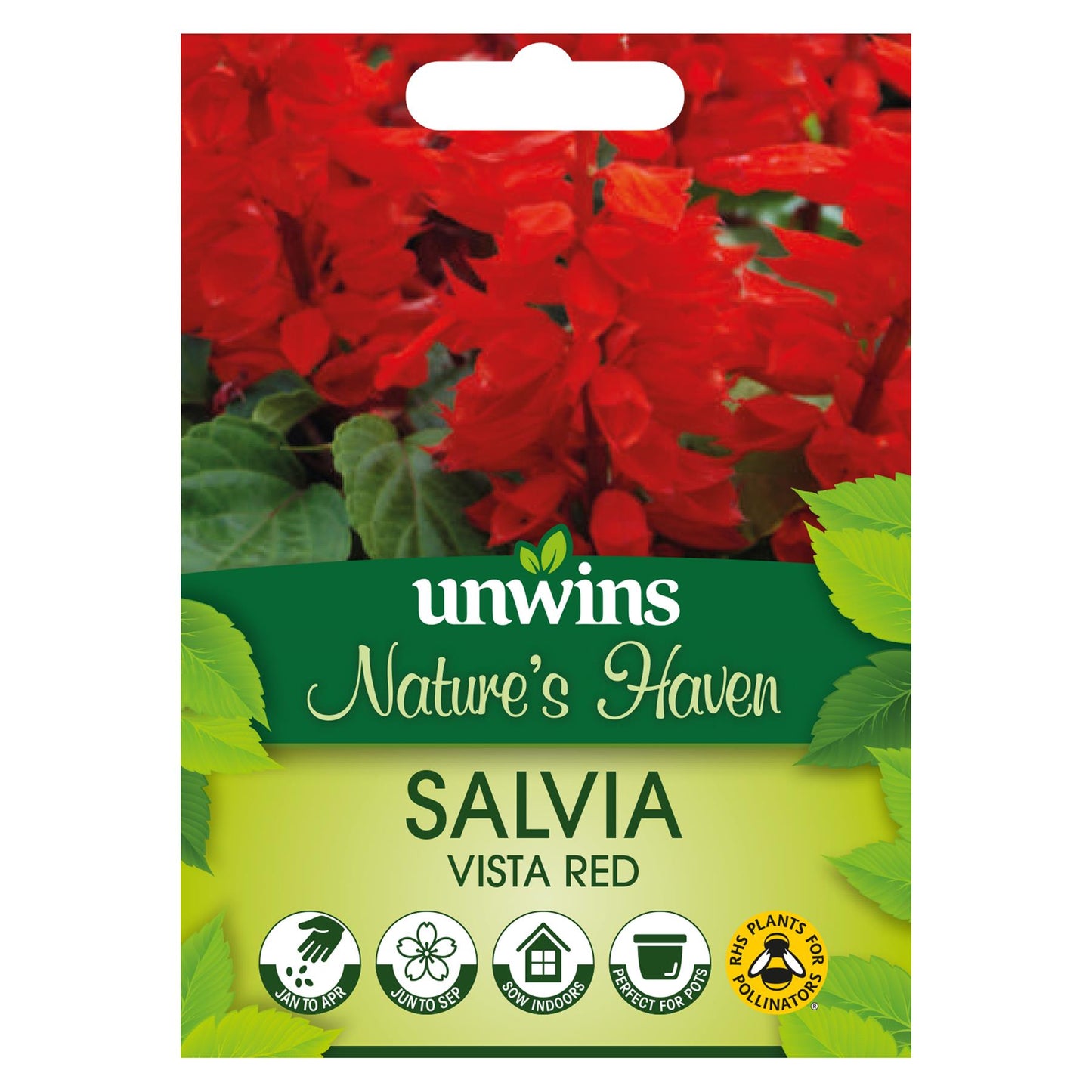 Unwins Flower Salvia Vista Red - 20 Seeds