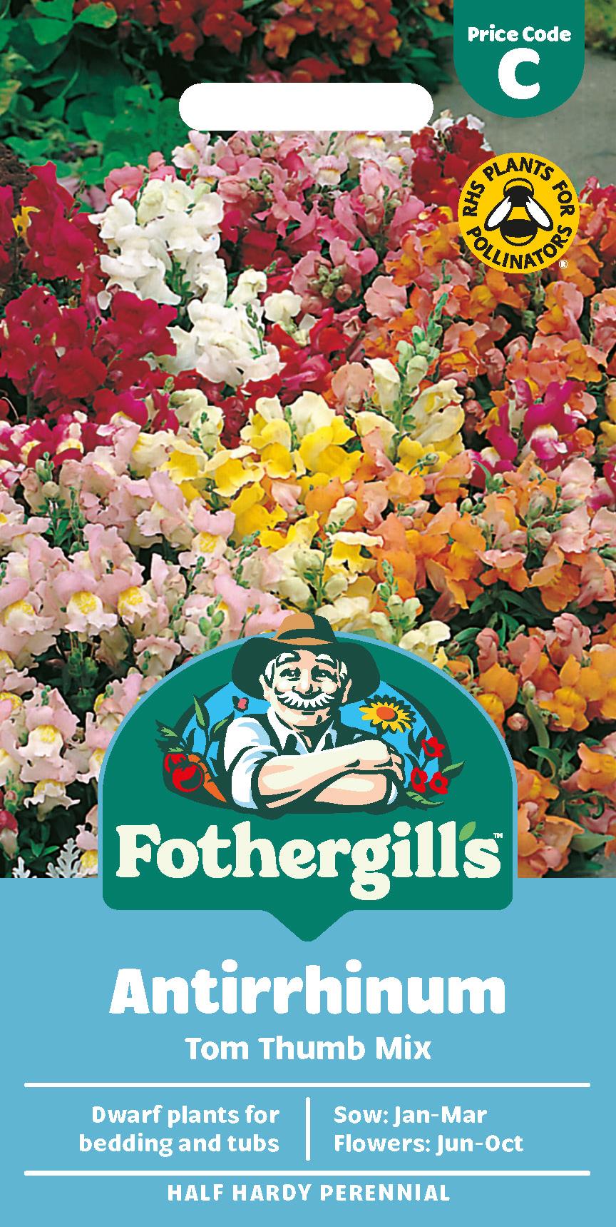 Fothergills Antirrhinum Tom Thumb Mix Seeds