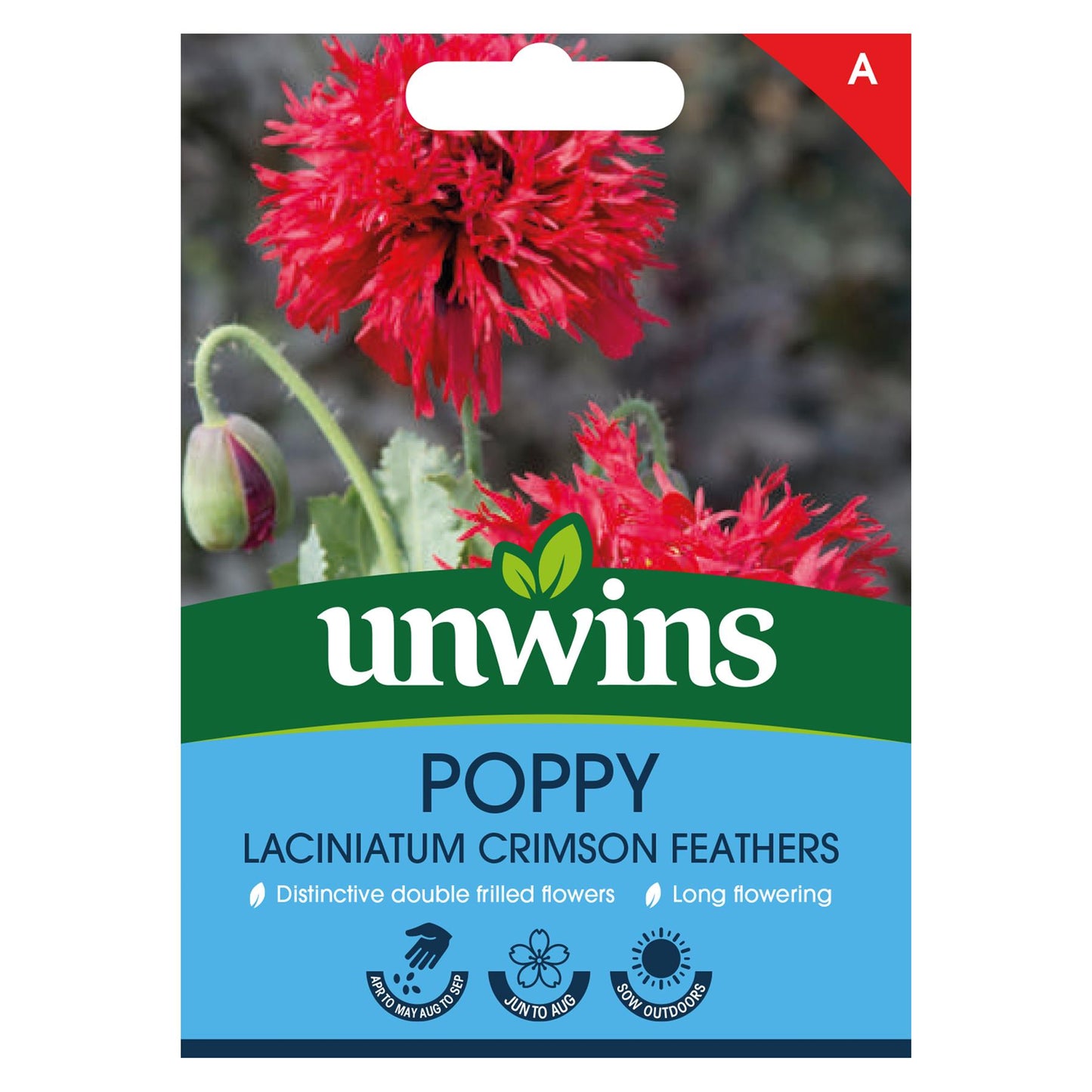 Unwins Flower Poppy Crimson Feathers - 500 Seeds