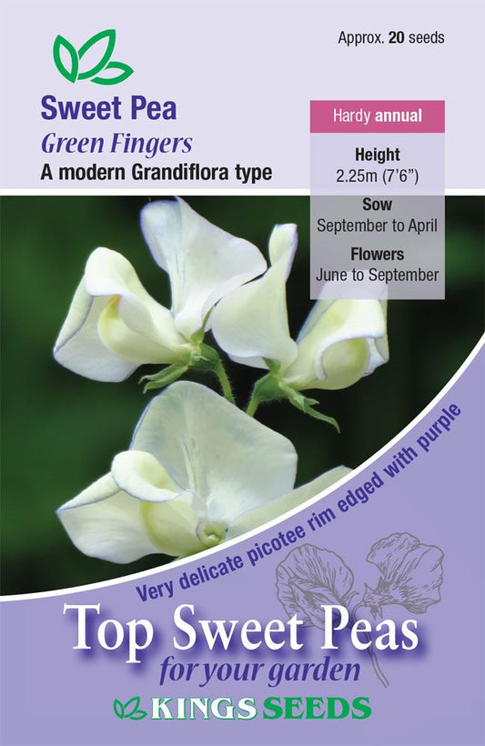 Kings Seeds Sweet Pea Greenfingers 20 Seeds