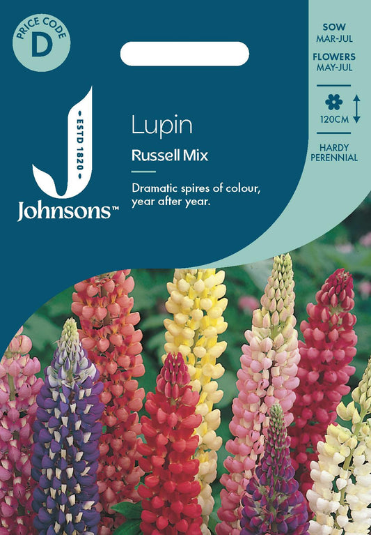 Johnsons - Lupin Russell Mix - 60 Seeds