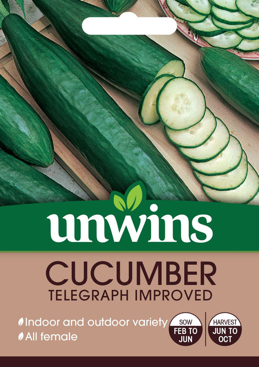 Unwins Cucumber Telegraph Improved 10 Seeds