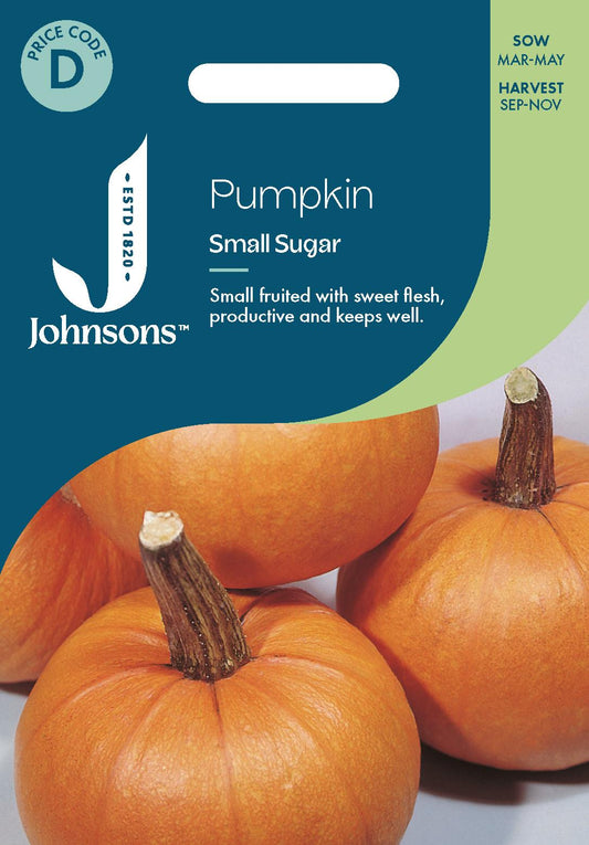 Johnsons - Pumpkin Small Sugar - 25 Seeds