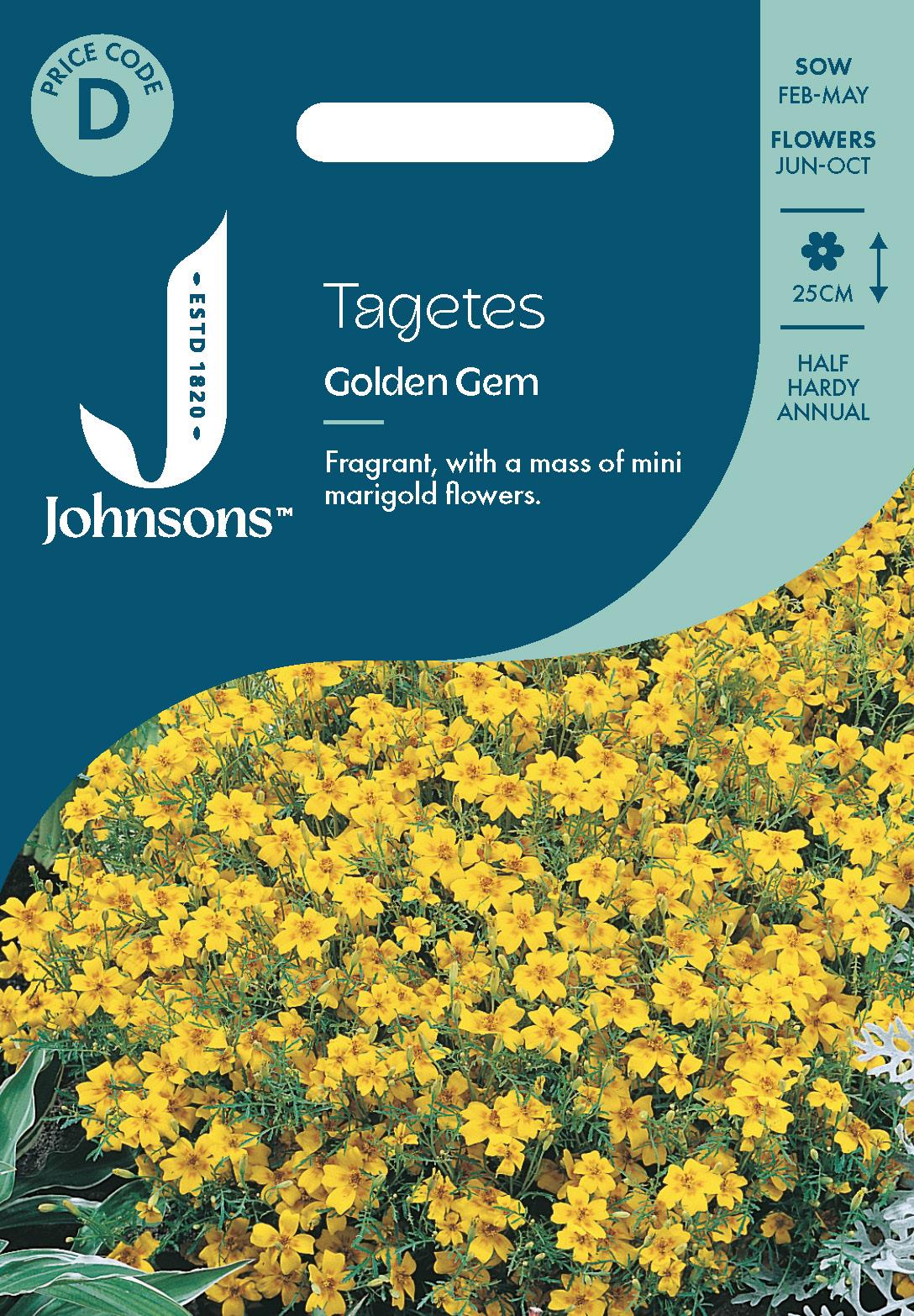 Johnsons - Tagetes Golden Gem - 220 Seeds