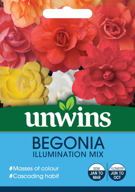Unwins Begonia Illuminations Mix 50 Seeds