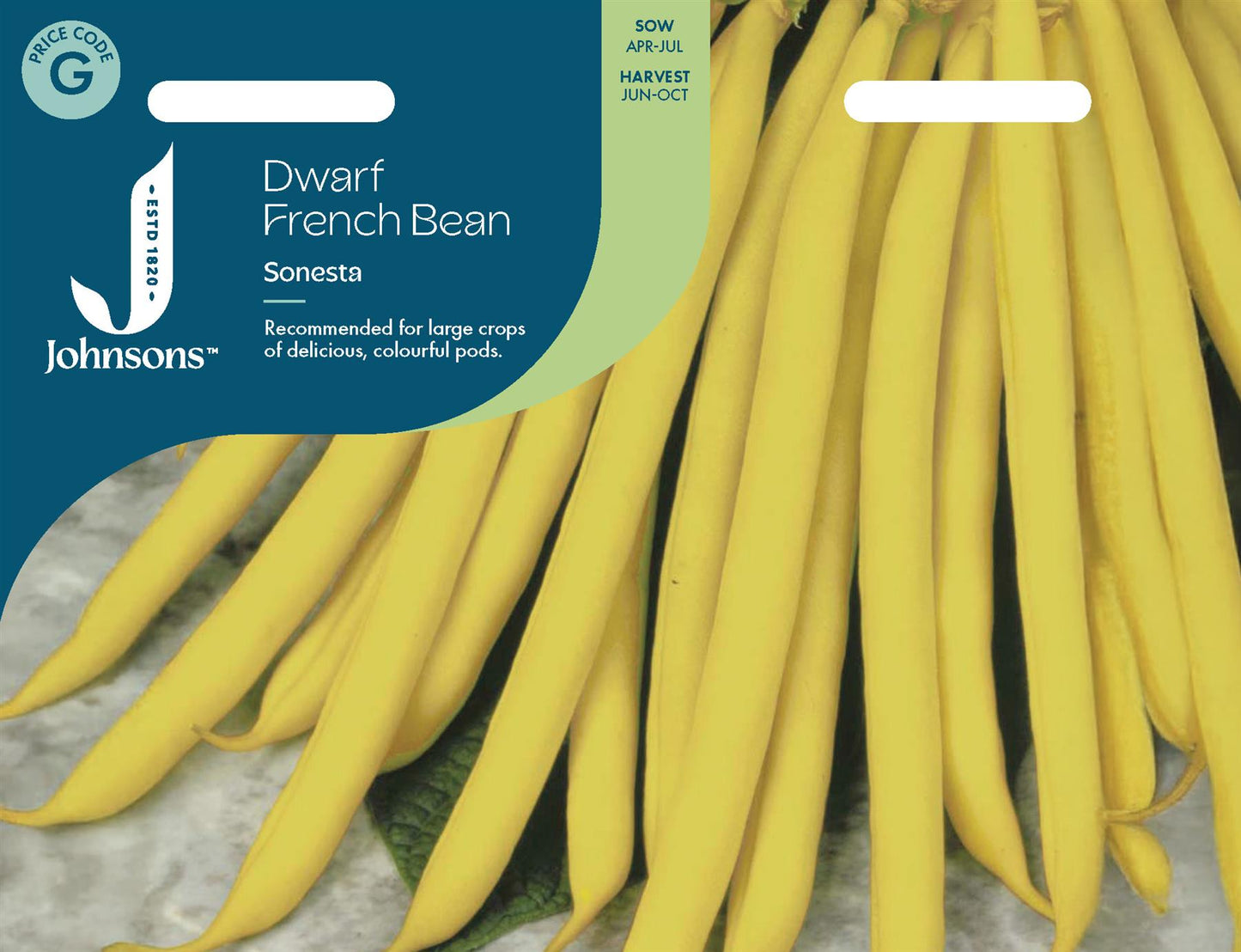 Johnsons - Dwarf French Bean Sonesta - 100 Seeds