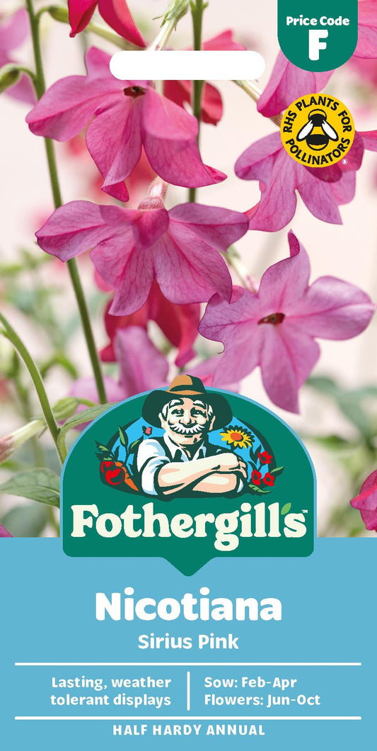 Fothergills Nicotiana Sirius Pink Seeds