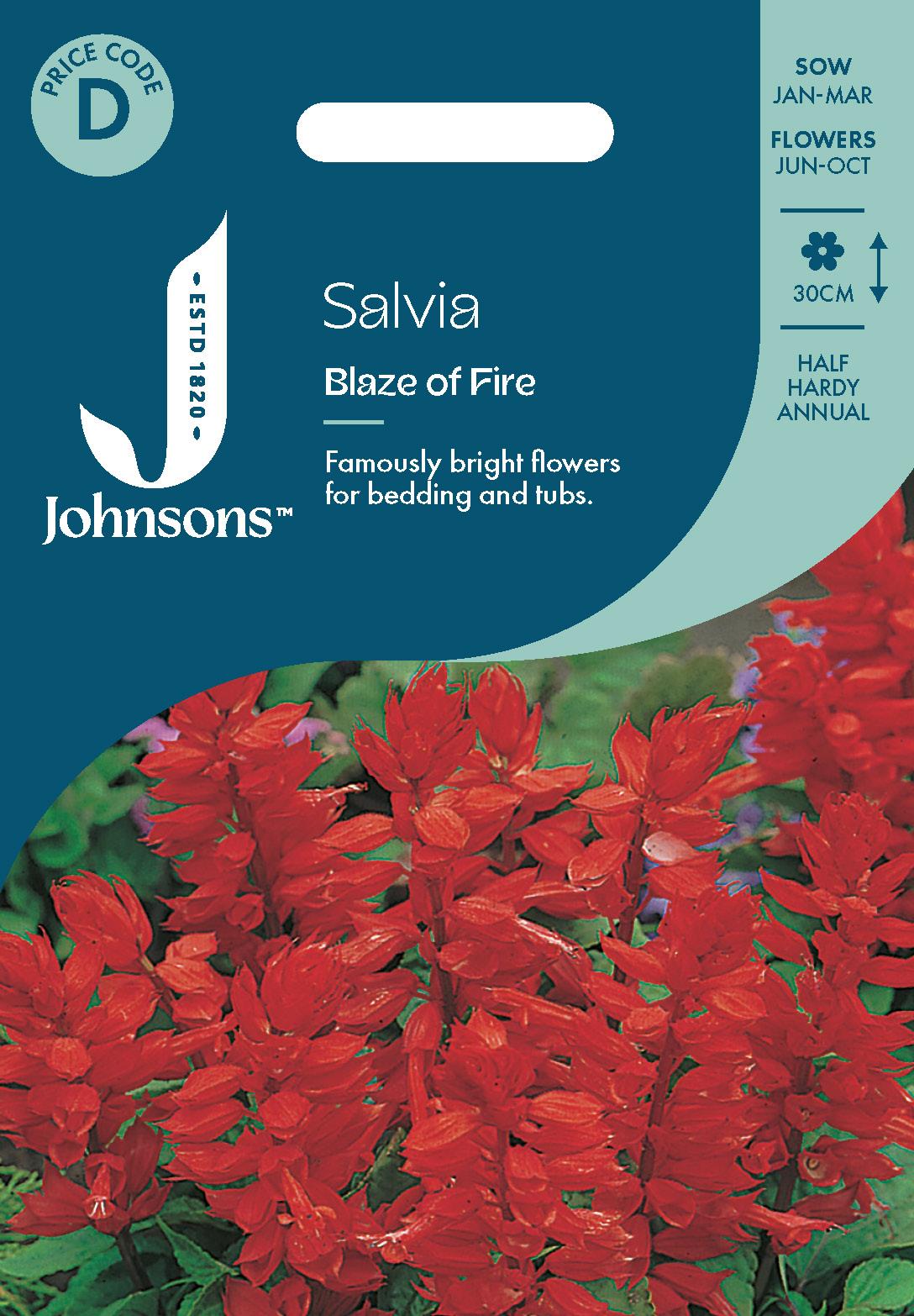 Johnsons - Salvia Blaze of Fire - 80 Seeds