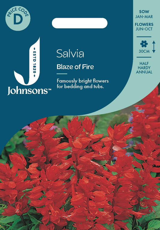 Johnsons - Salvia Blaze of Fire - 80 Seeds