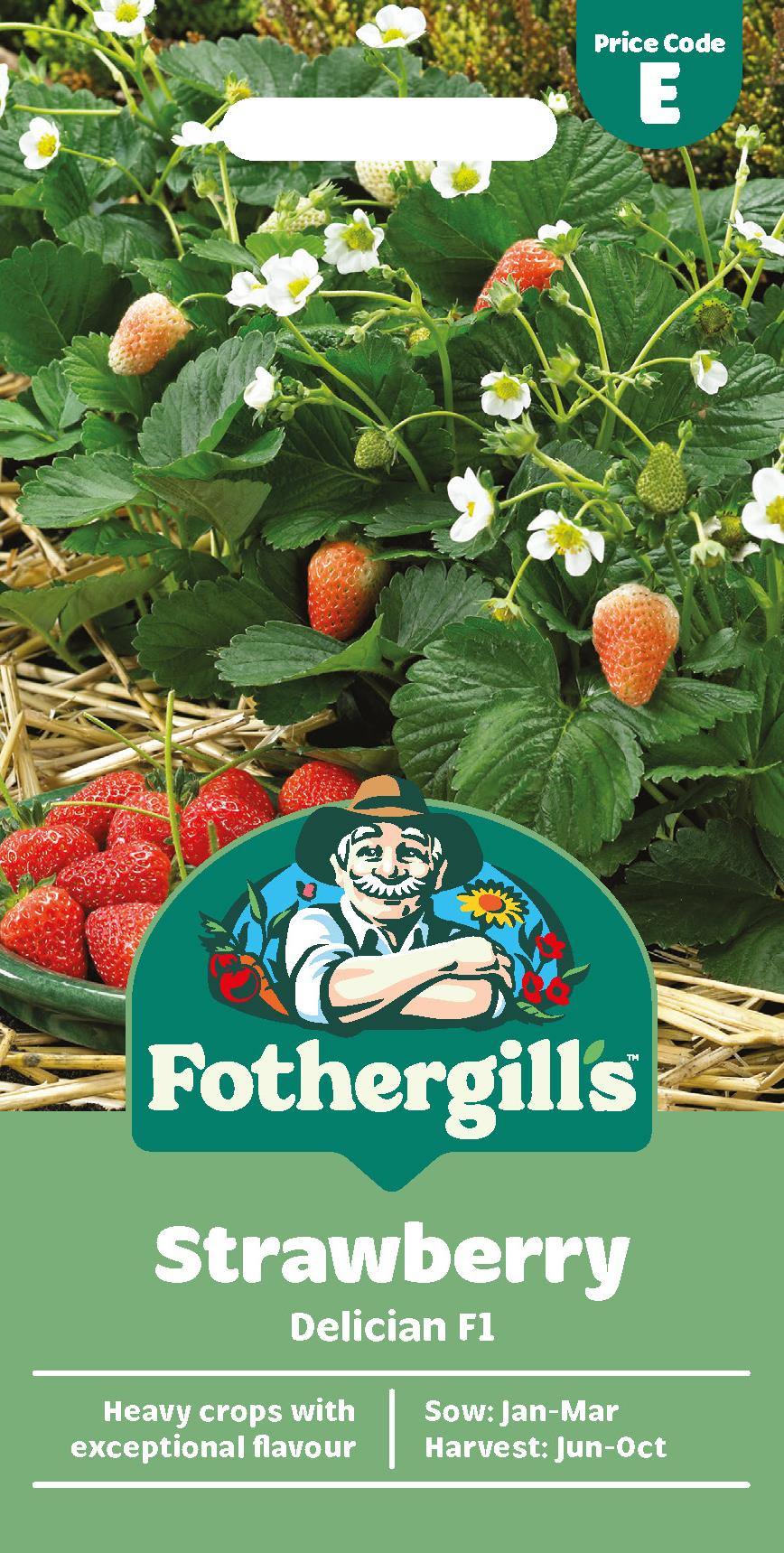 Fothergills Strawberry Delician F1 Seeds